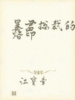 暴君总裁的狂烈烙印