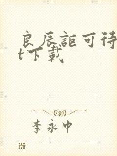 良辰讵可待txt下载