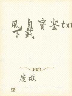 风月宝鉴txt下载