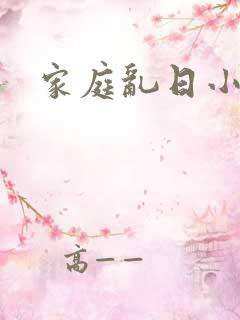 家庭乱日小说