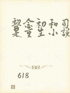 黎念初和司慕城是重生小说