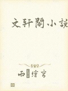 文轩阁小说网