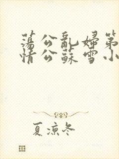 荡公乱妇第1章情公苏雪小说