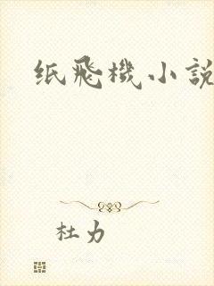 纸飞机小说