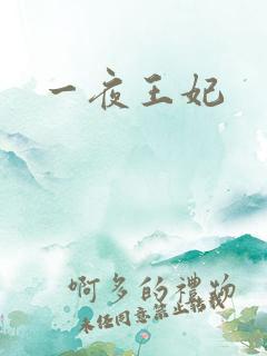 一夜王妃