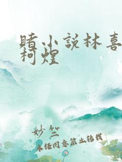 赌小说林喜朝和柯煜