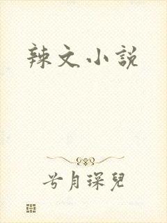 辣文小说