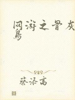 网游之骨灰级菜鸟