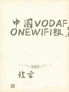 中国VODAFONEWIFI粗暴APP