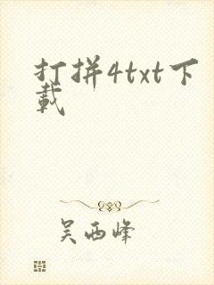 打拼4txt下载