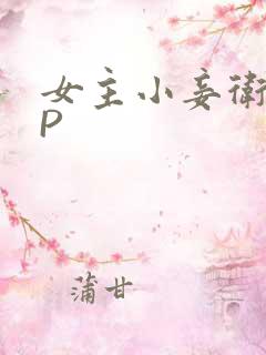 女主小妾卫府NP