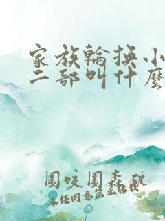 家族轮换小说第二部叫什么名字