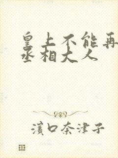 皇上不能再进了丞相大人