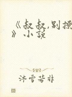 《叔叔,别撩我》小说