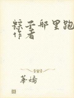 粽子哪里跑小说作者