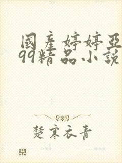 国产婷婷亚洲999精品小说