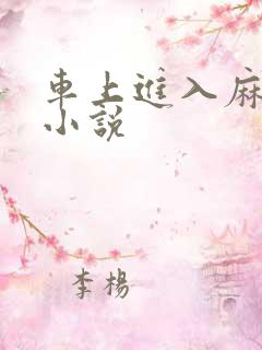 车上进入麻麻的小说