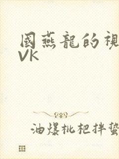 国燕龙的视频IVK