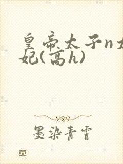 皇帝太子n太子妃(高h)