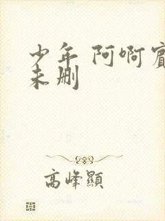 少年 阿啊宾文未删