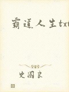 霸道人生txt