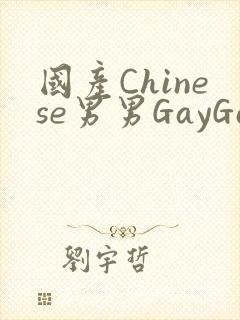 国产Chinese男男GayGayAPP
