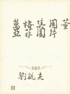 万格集团董事李亚菲图片