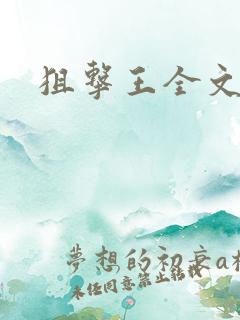 狙击王全文阅读