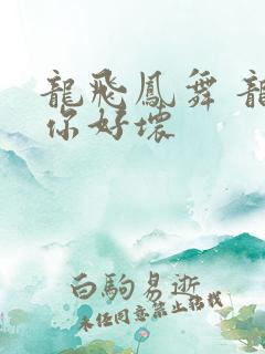 龙飞凤舞 龙王你好坏
