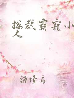 总裁霸宠小小女人