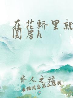 在花轿里就开始圆房h