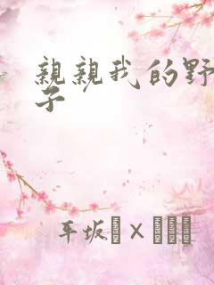 亲亲我的野猪王子