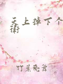 天上掉下个影卫卫