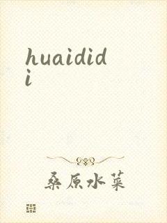 huaididi