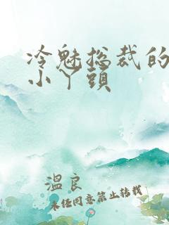 冷魅总裁的纯纯小丫头