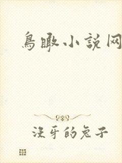 鸟瞰小说网