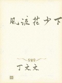 风流花少下载