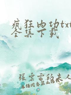 疯狂内功txt全集下载