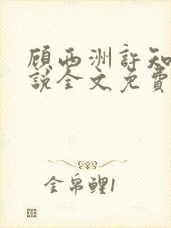 顾西洲许知意小说全文免费阅读