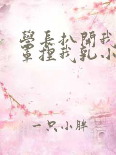 学长扒开我的乳罩捏我乳小说