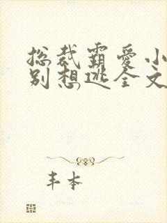 总裁霸爱小娇妻别想逃全文阅读免费