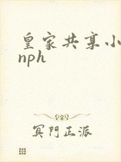 皇家共享小公主nph