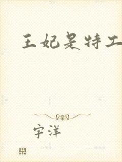 王妃是特工