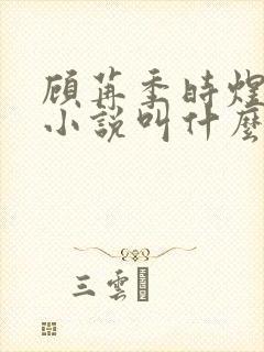 顾苒季时煜电竞小说叫什么名字