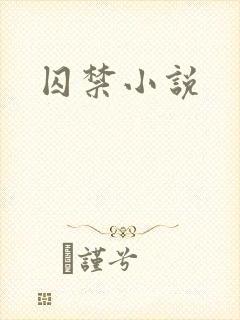 囚禁小说