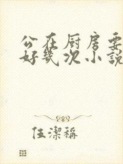 公在厨房要了我好几次小说