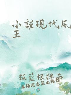 小说现代风流霸主