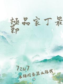 极品家丁最新章节