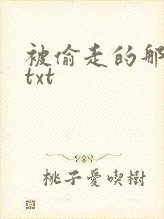 被偷走的那五年txt