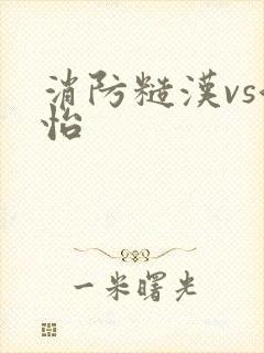 消防糙汉vs江怡